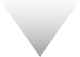 Polygon 21